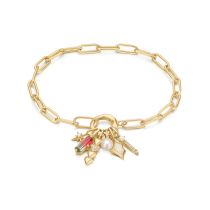 Ania Haie BST048-10 Conjunto de pulsera Good Fortune + 6 colgantes